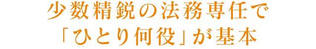 少数精鋭の法務専任で「ひとり何役」が基本